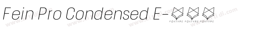 Fein Pro Condensed E字体转换